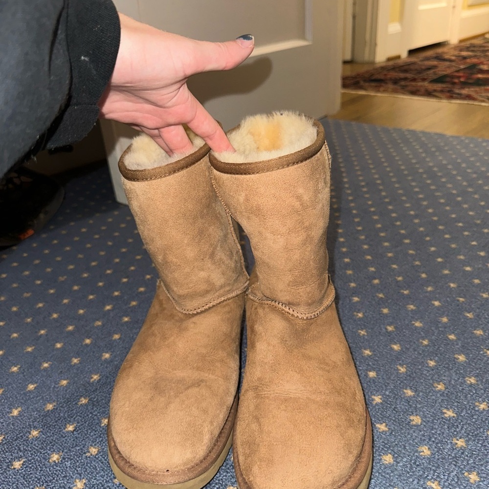 Women’s Uggs classic short